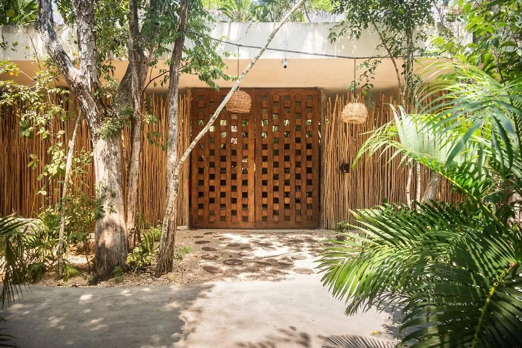 Gorgeous Penthouse Mar Y Cielo With Private Pool And Jacuzzi Apartment Tulum Mexico