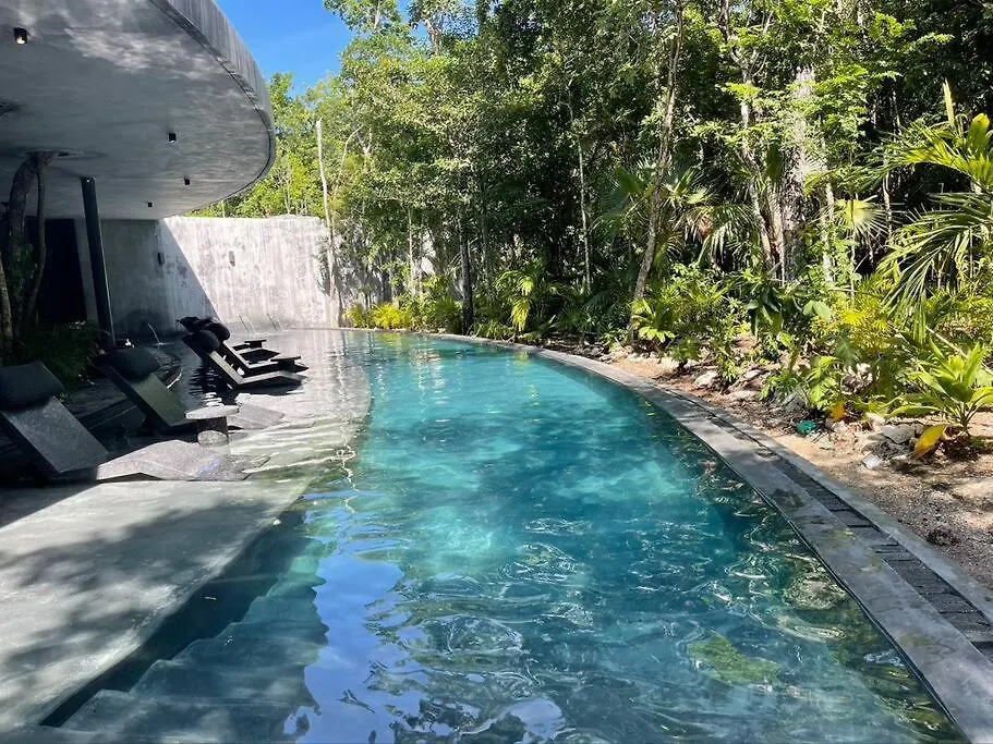 Gorgeous Penthouse Mar Y Cielo With Private Pool And Jacuzzi Apartment Tulum Mexico