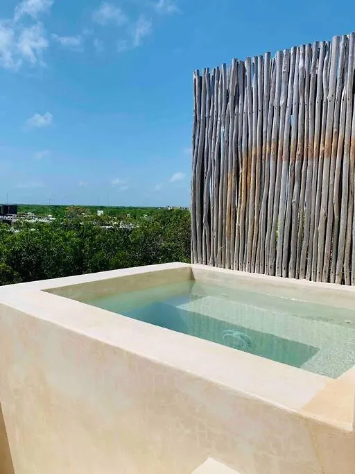 Gorgeous Penthouse Mar Y Cielo With Private Pool And Jacuzzi Apartment Tulum 0*,