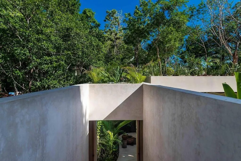 Gorgeous Penthouse Mar Y Cielo With Private Pool And Jacuzzi Apartment Tulum