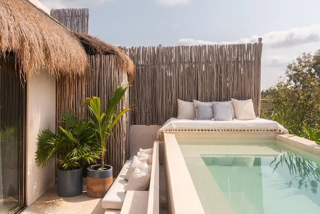 Gorgeous Penthouse Mar Y Cielo With Private Pool And Jacuzzi Apartment Tulum Mexico