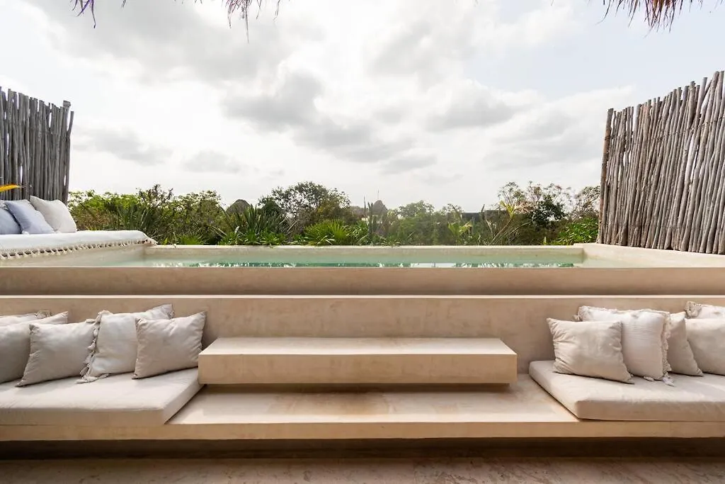 Gorgeous Penthouse Mar Y Cielo With Private Pool And Jacuzzi Apartment Tulum Mexico